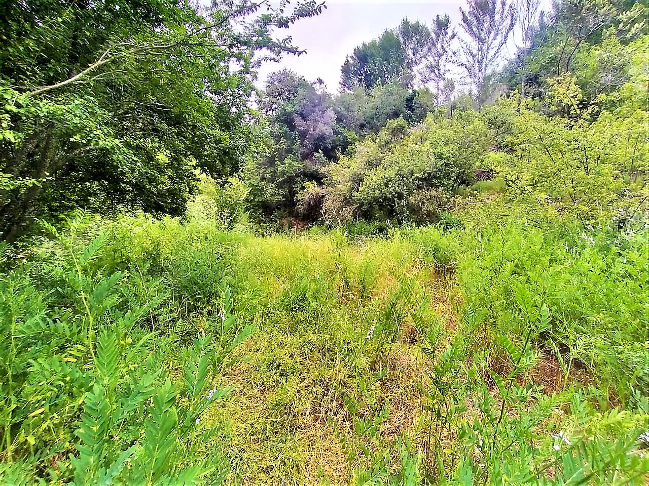 Terreno en venta en Chiguayante — foto 7