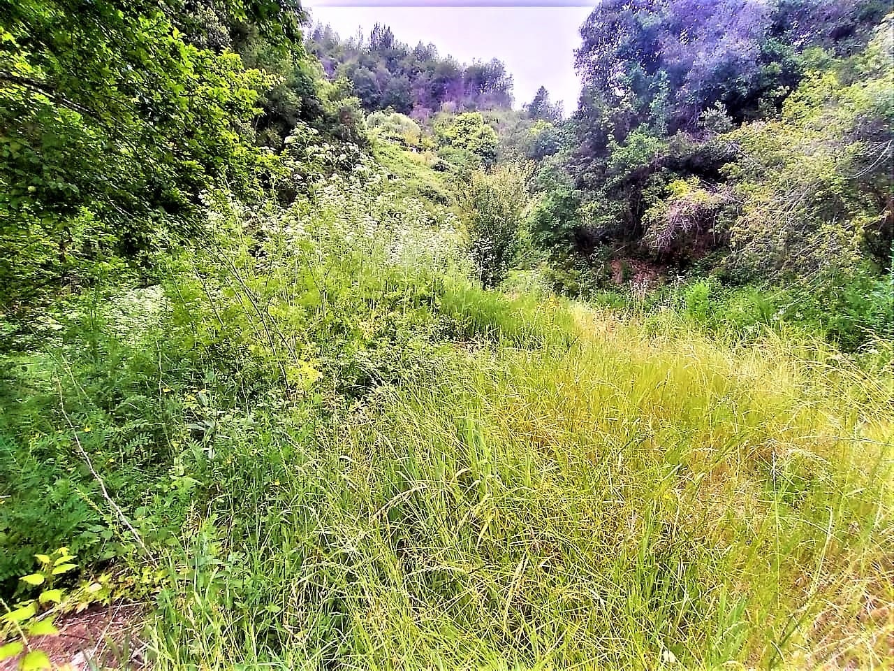 Terreno en venta en Chiguayante — foto 8