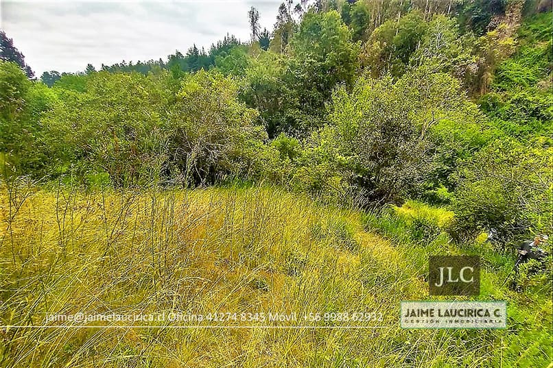 Terreno en venta en Chiguayante — foto 9