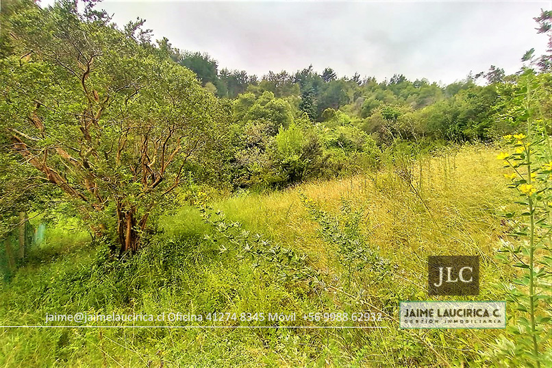 Terreno en venta en Chiguayante — foto 10