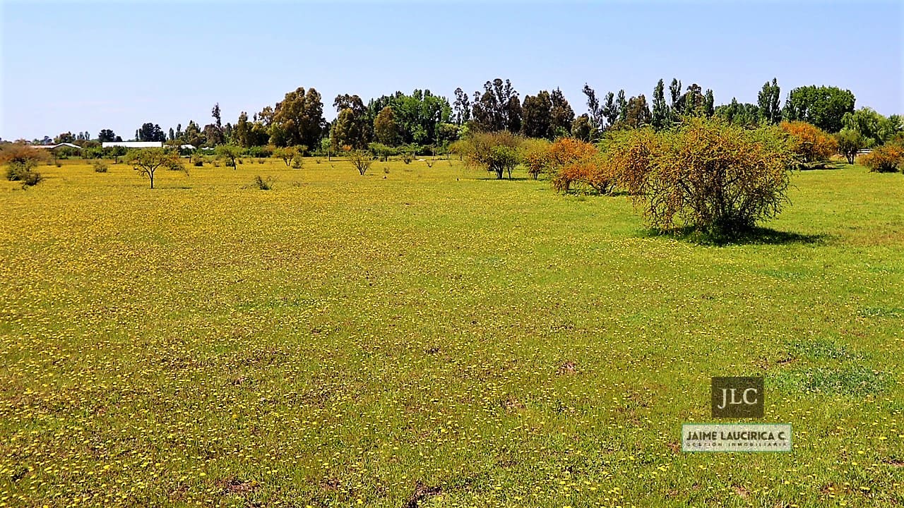 Parcela en venta en Bulnes — foto 7