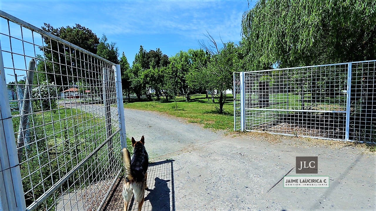 Parcela en venta en Bulnes — foto 8