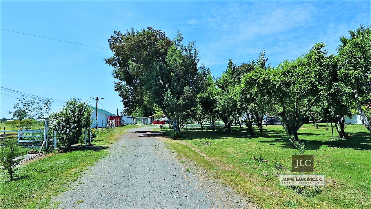 Parcela en venta en Bulnes — foto 10