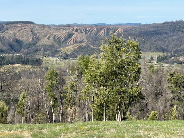 Parcela en venta en San Pedro de la Paz — foto 8