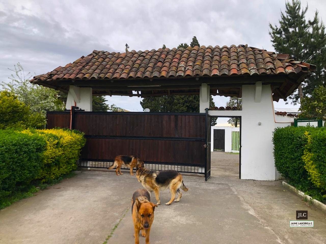 Parcela en venta en Cabrero — foto 3