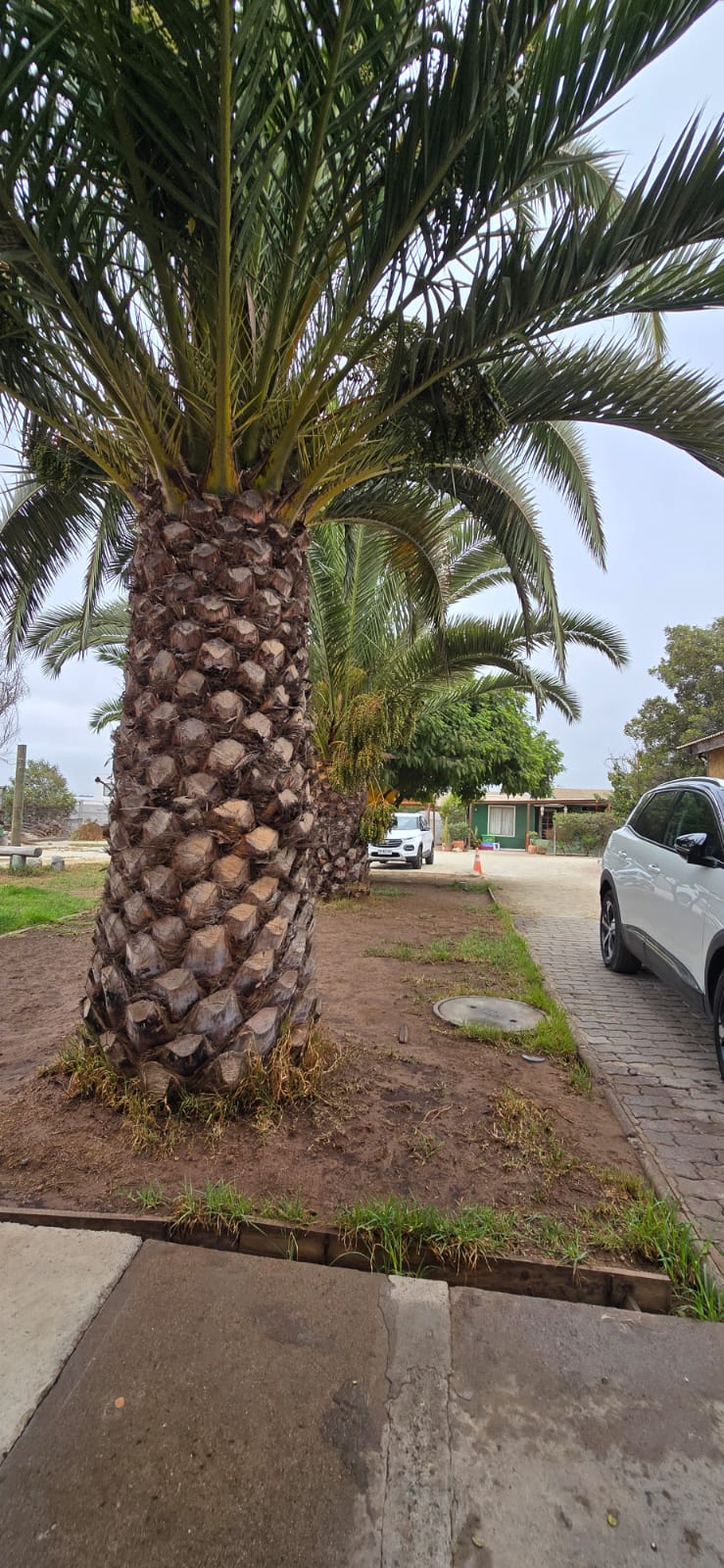 Terreno en venta en La Serena — foto 2