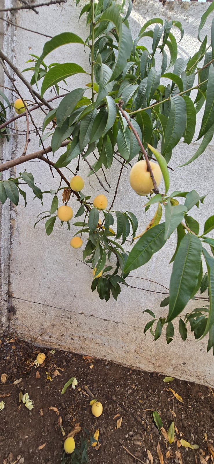 Casa en venta en La Serena — foto 9