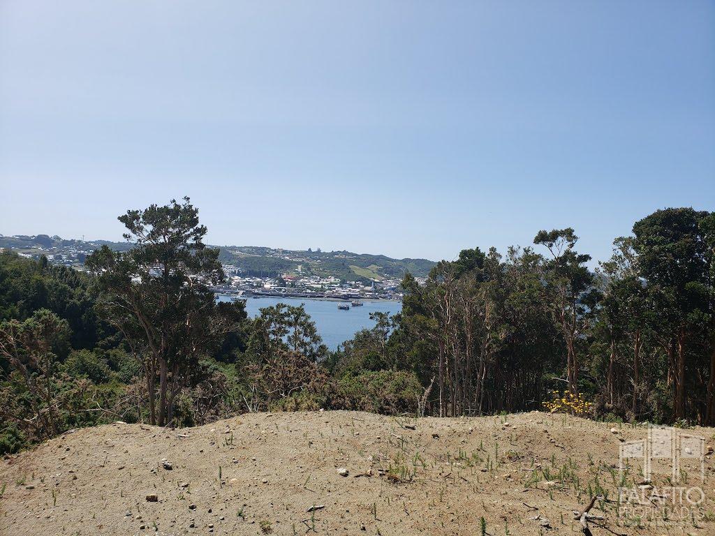 Terreno en venta en Curaco de Vélez — foto 5