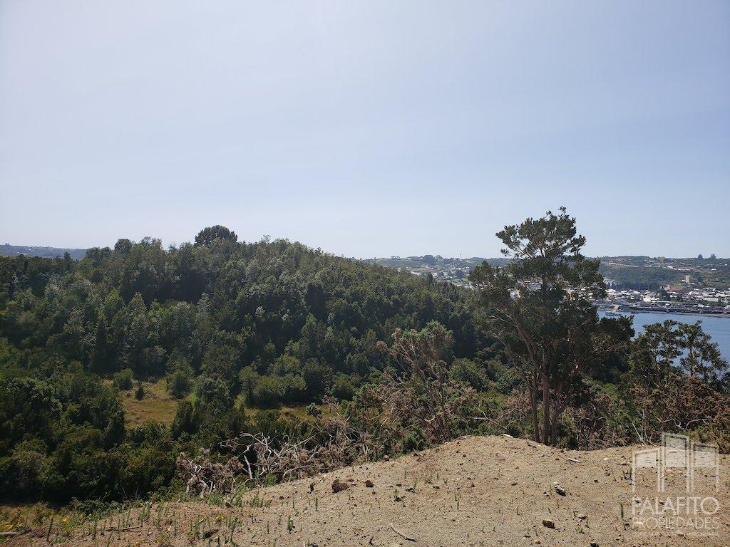 Terreno en venta en Curaco de Vélez — foto 6