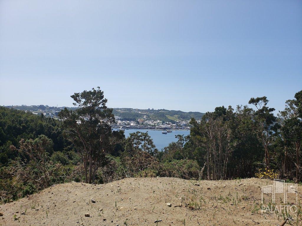Terreno en venta en Curaco de Vélez — foto 7