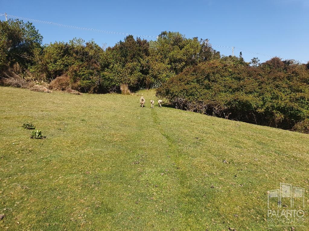 Terreno en venta en Chonchi — foto 8