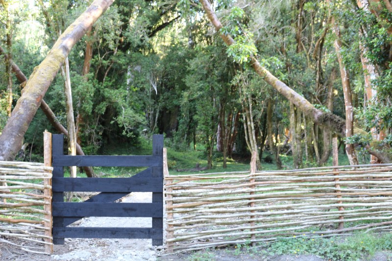 Terreno en venta en Castro — foto 6