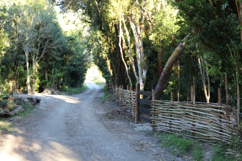 Terreno en venta en Castro — foto 7