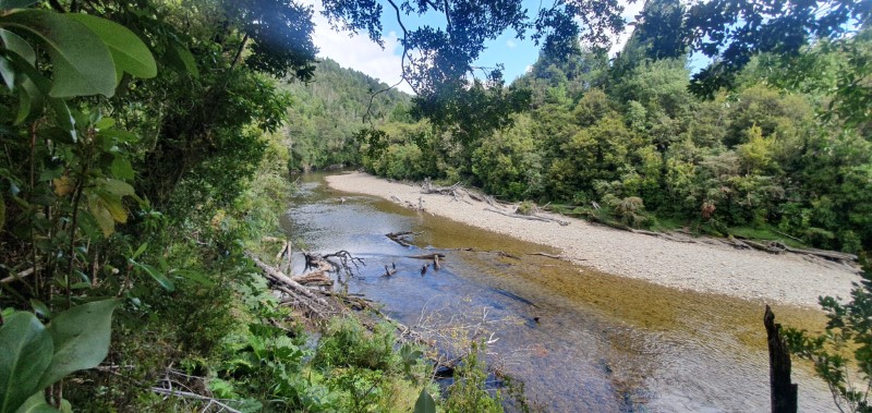 Terreno en venta en Castro — foto 9