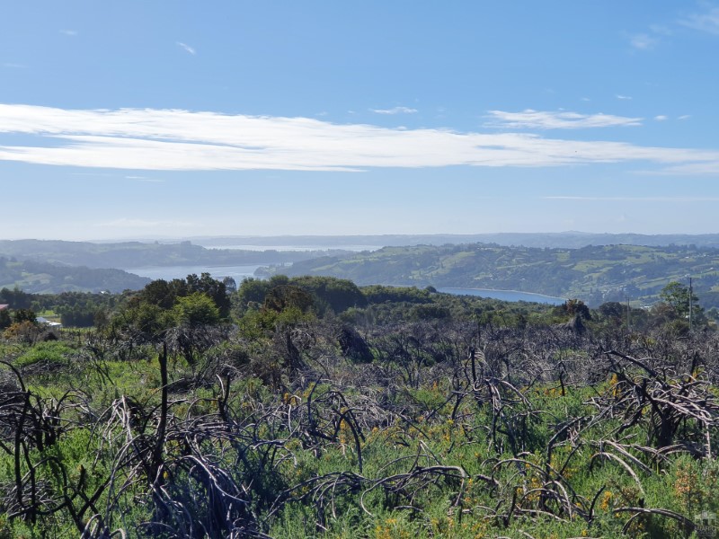 Parcela en venta en Chonchi — foto 8