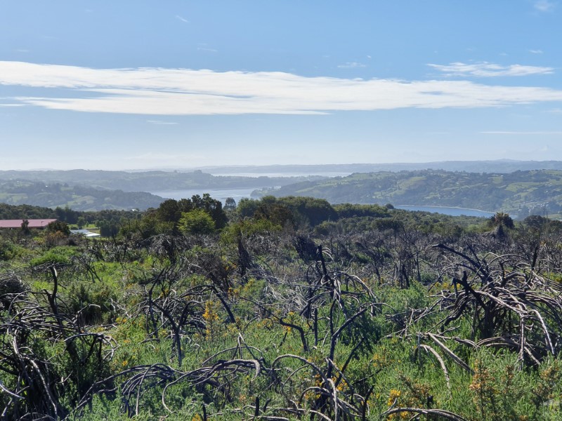 Parcela en venta en Chonchi — foto 10