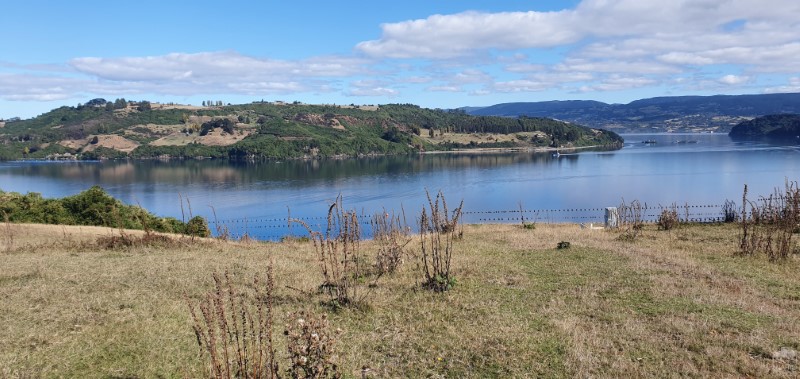 Parcela en venta en Castro — foto 1