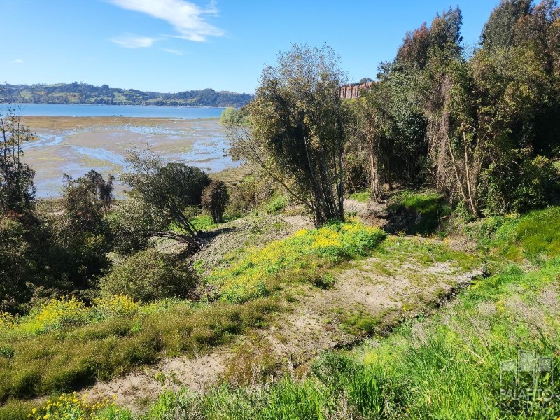 Terreno en venta en Castro — foto 4