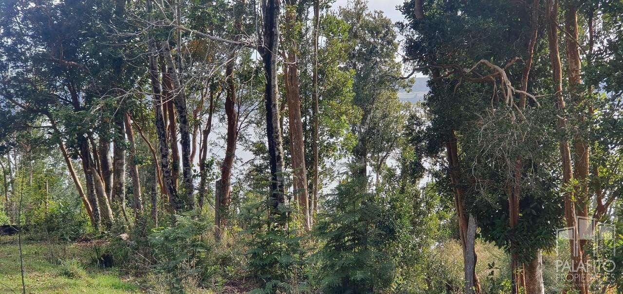 Terreno en venta en Quemchi — foto 5
