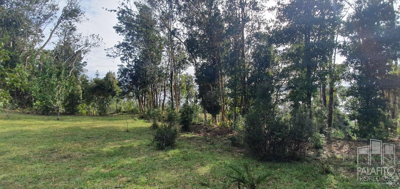 Terreno en venta en Quemchi — foto 6