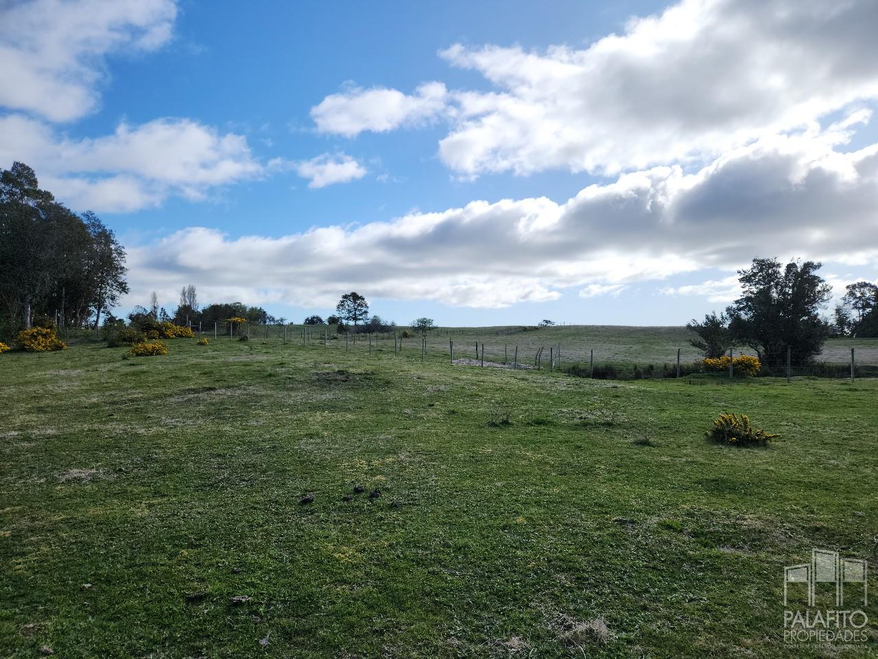 Terreno en venta en Castro — foto 5