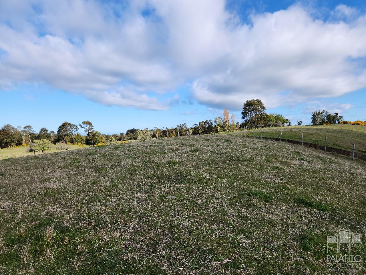 Terreno en venta en Castro — foto 10