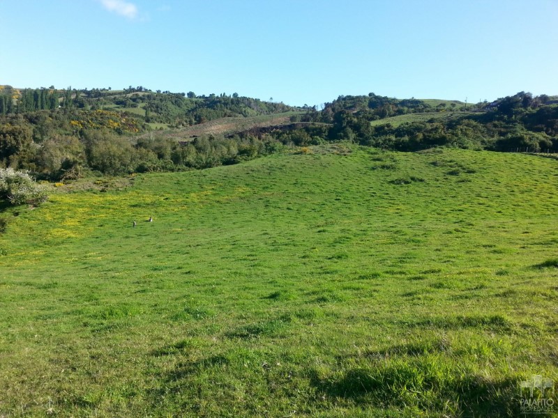 Terreno en venta en Castro — foto 8