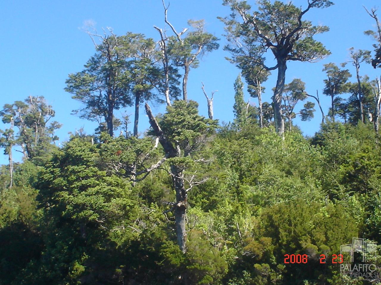 Terreno en venta en Aysén — foto 3