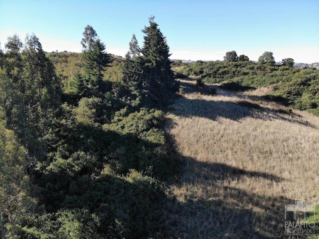 Terreno en venta en Castro — foto 9