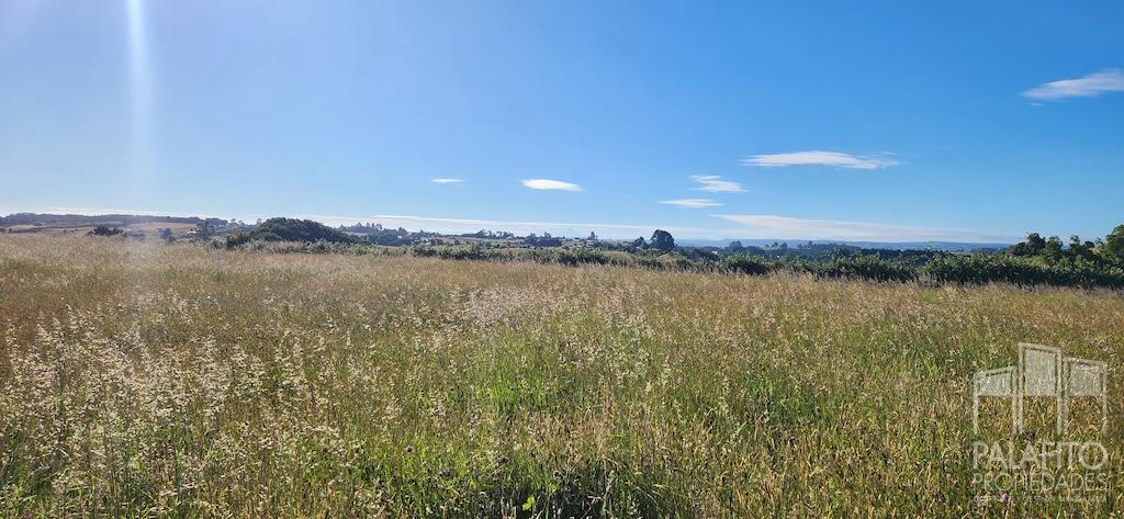 Terreno en venta en Chonchi — foto 10