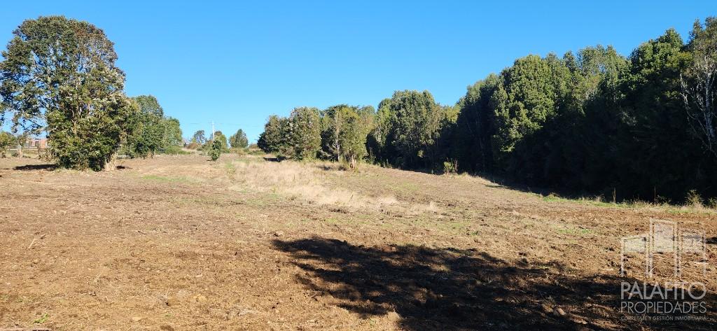 Parcela en venta en Castro — foto 4