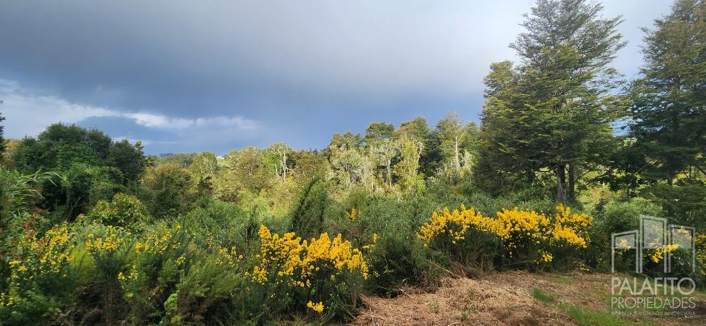 Terreno en venta en Castro — foto 10