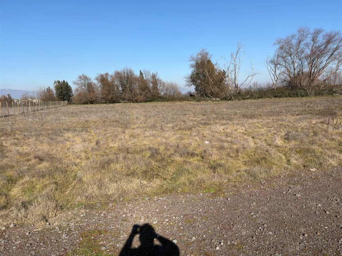 Terreno en venta en Curicó — foto 3