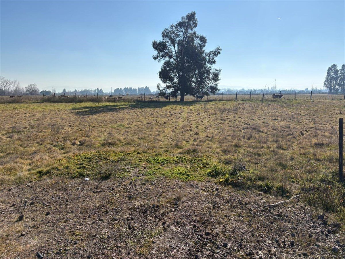 Terreno en venta en Curicó — foto 5