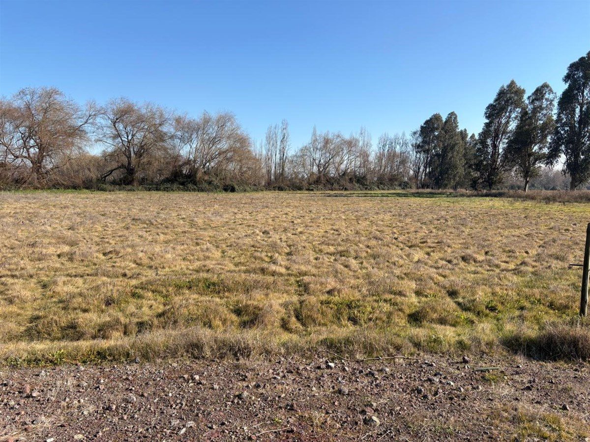 Terreno en venta en Curicó — foto 7