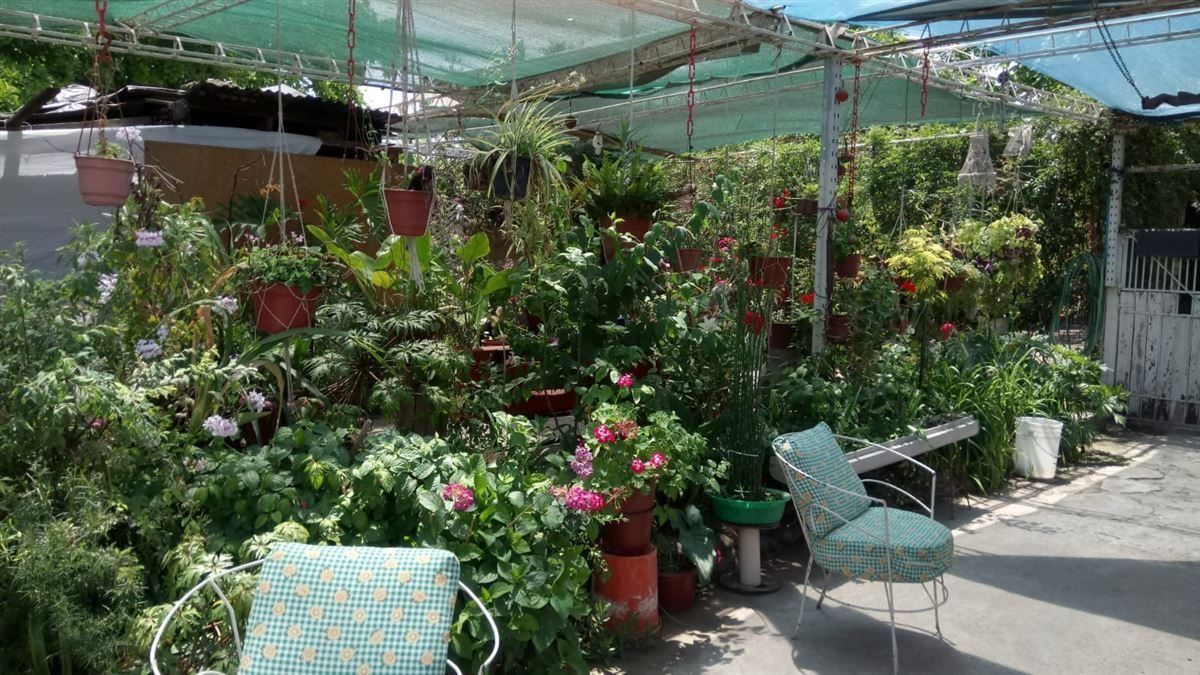 Terreno en venta en Maipú — foto 5