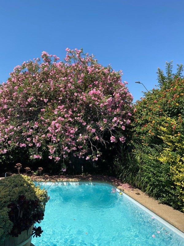Casa en venta en Las Condes — foto 2