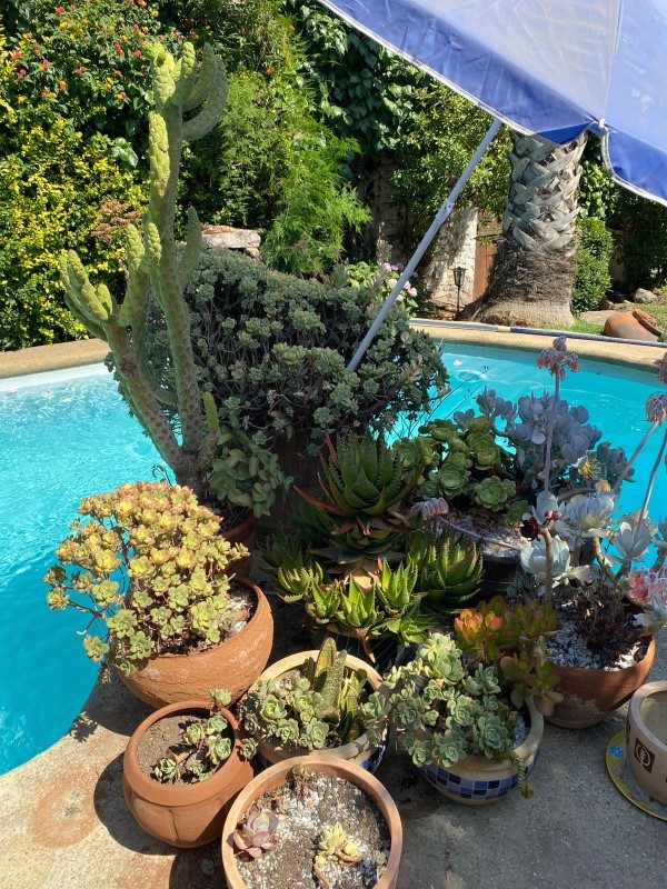 Casa en venta en Las Condes — foto 3