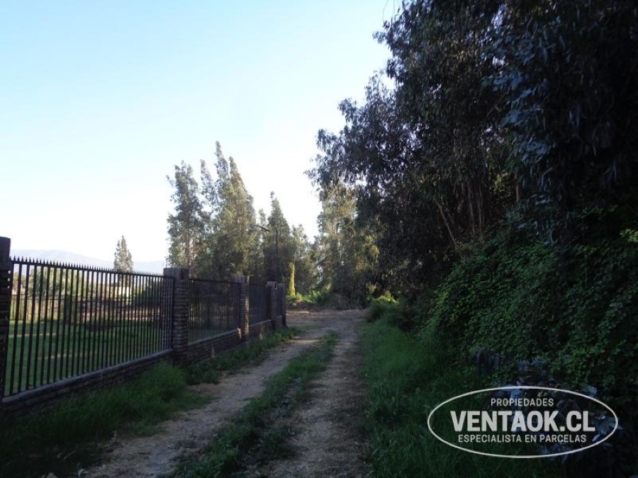 Terreno en venta en El Monte — foto 3