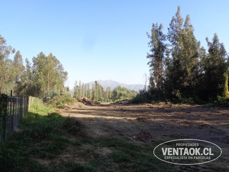 Terreno en venta en El Monte — foto 4