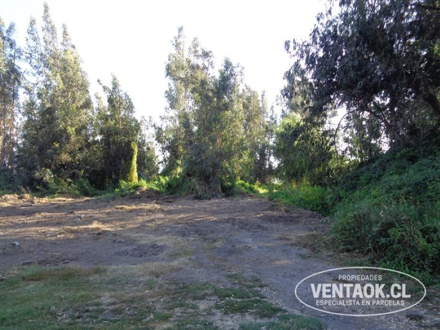 Terreno en venta en El Monte — foto 5