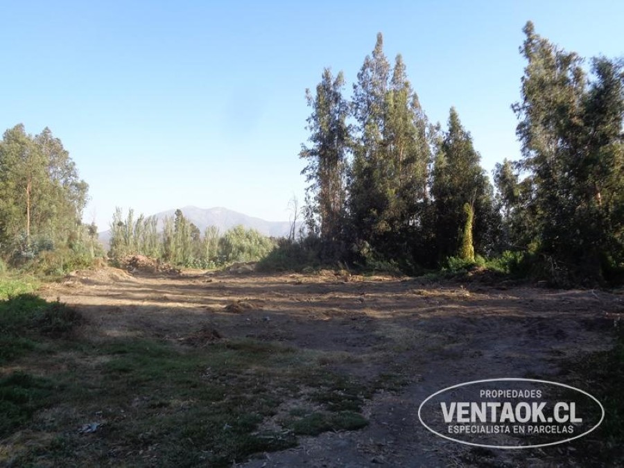 Terreno en venta en El Monte — foto 6
