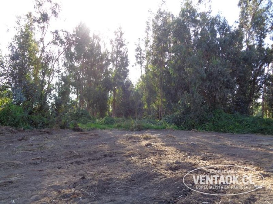 Terreno en venta en El Monte — foto 7