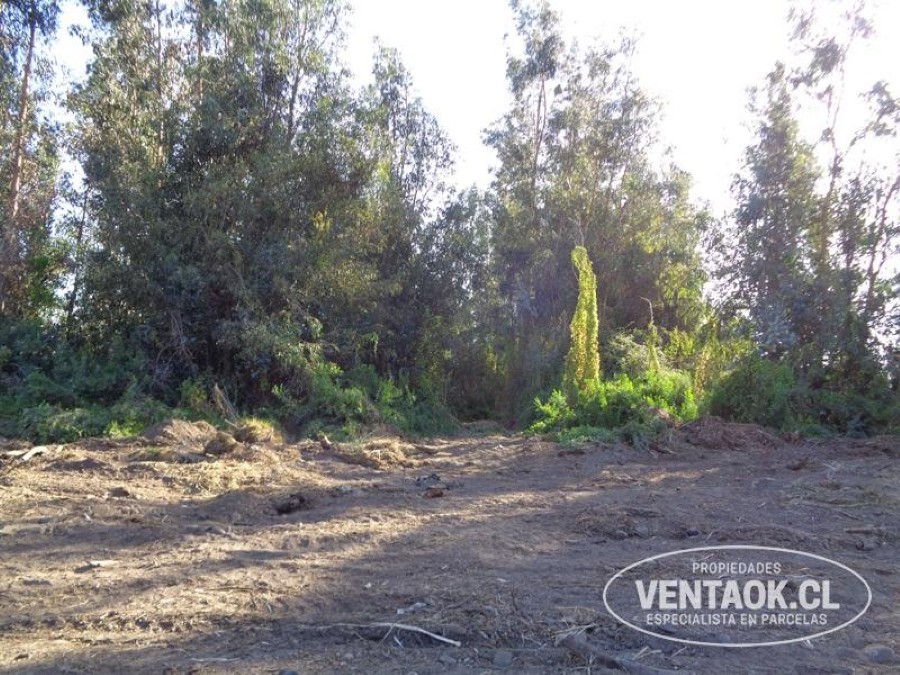Terreno en venta en El Monte — foto 8