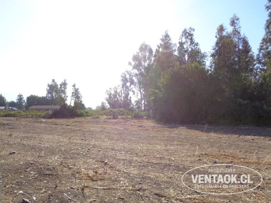 Terreno en venta en El Monte — foto 9