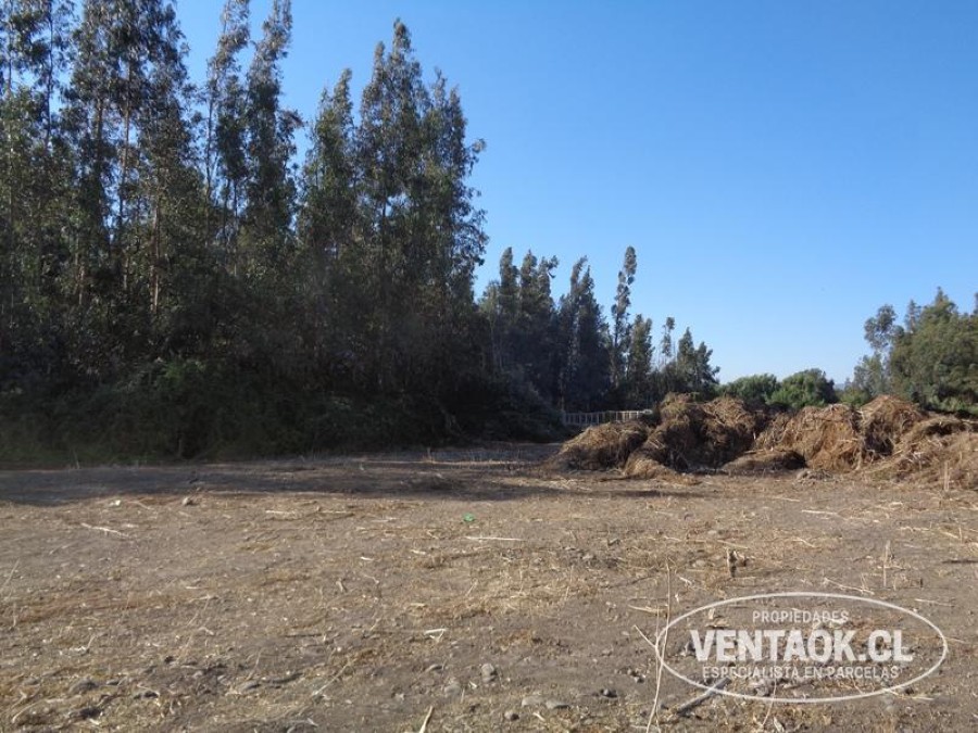 Terreno en venta en El Monte — foto 10