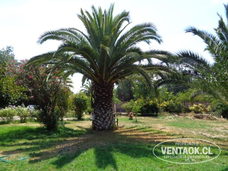 Casa en venta en Padre Hurtado — foto 10