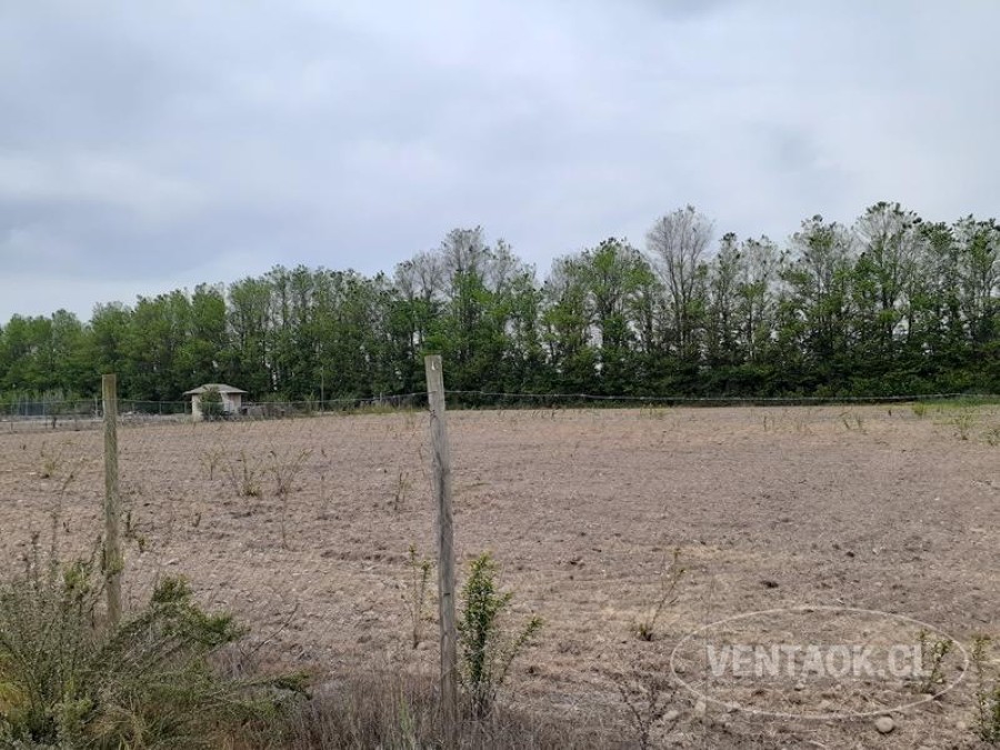 Terreno en venta en Talagante — foto 4