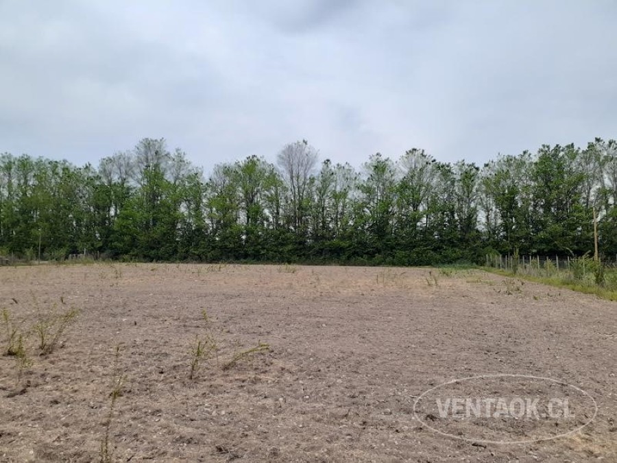 Terreno en venta en Talagante — foto 5