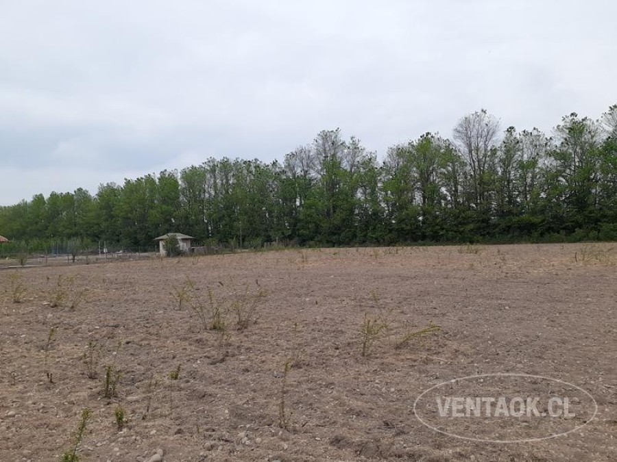 Terreno en venta en Talagante — foto 6